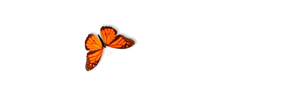 全屏蝴蝶飞舞动态壁纸Butterfly On Desktop