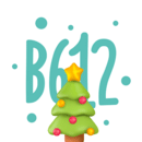 B612咔叽最新版 V12.4.12