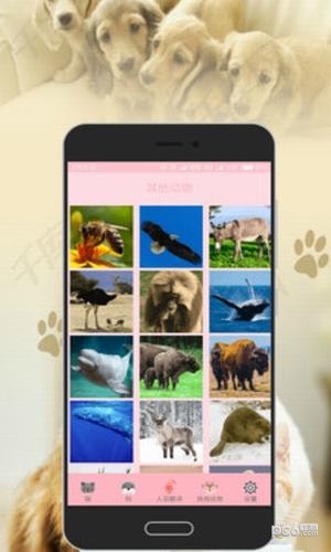 人猫狗翻译器app
