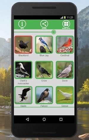 鸟声音app下载